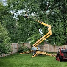Best Lawn Pest Prevention  in Fortuna, CA